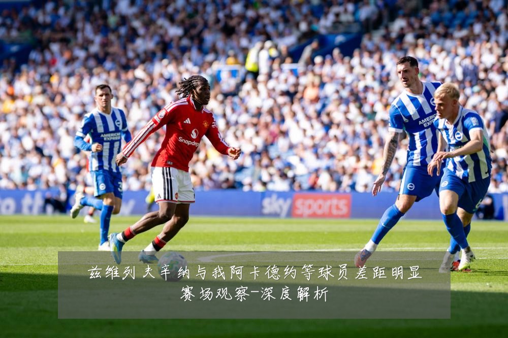 兹维列夫辛纳与我阿卡德约等球员差距明显赛场观察-深度解析